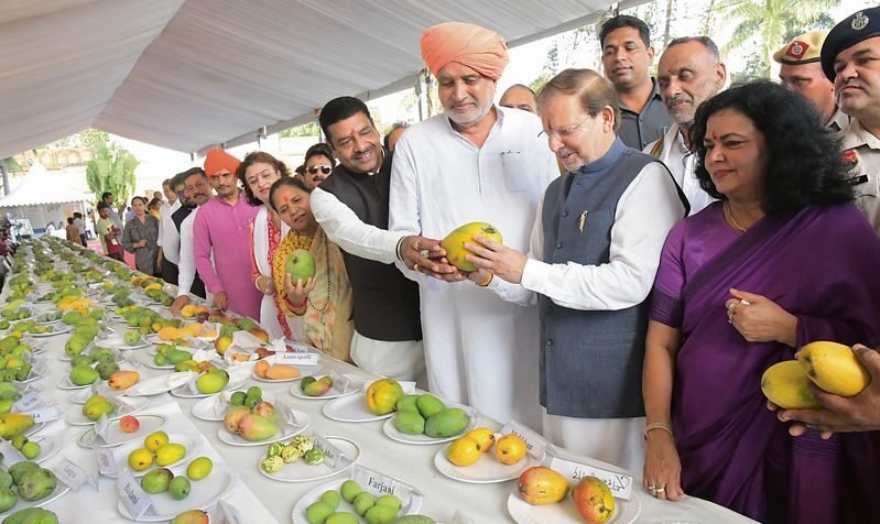whatsapp image 2025 09 25 at 3.31.19 pm